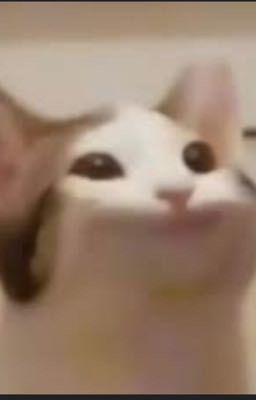 =)))