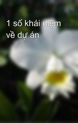 1 số khái niệm về dự án