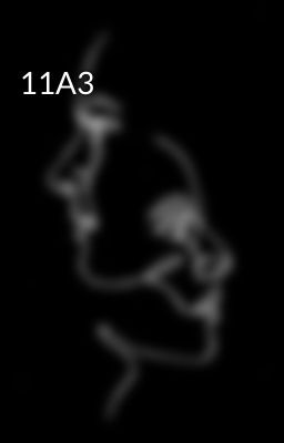 11A3