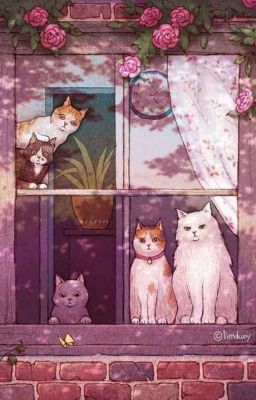 [12 chòm sao] Chuyện Của Mèo