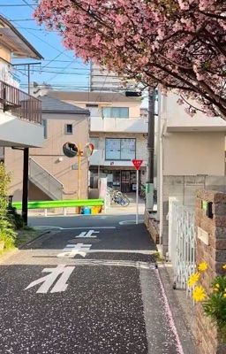 [12 chòm sao] Cuối ngõ 