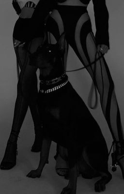 12cs.gemini.leo.tội lỗi 