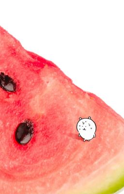 12cs; watermelon.