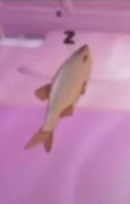 527; nhắc em sức thuốc