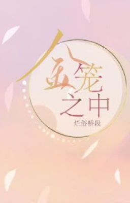 7. Phía Trong Lồng Vàng 金笼之中 - Lạn Tục Kiều Đoạn 烂俗桥段