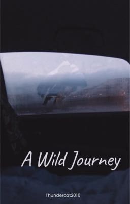 A wild Journey 