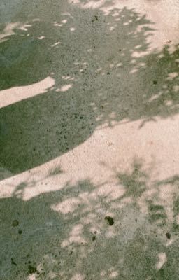 [aespa] [NINGSELLE] - vạt nắng. 