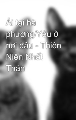 Ái tại hà phương/Yêu ở nơi đâu - Thiên Niên Nhất Thán