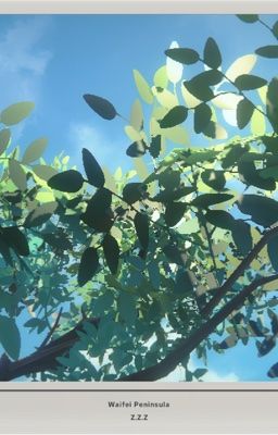 [Aiden (RS) x reader] Hẹn gặp lại ở không nơi đâu (See you in Neverwhere) 