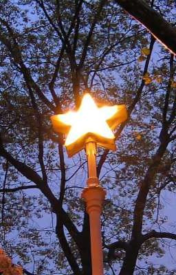 [AKAM] Cái giá của việc mượn hoa cúng Phật