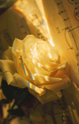 [AKAM] Chuyện kết hôn