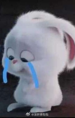 [All Dương Domic] Người ta không có ngốcಠ⁠︵⁠ಠ
