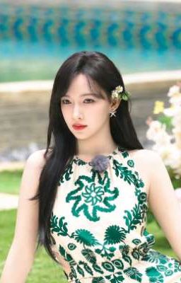 All Trình Tiêu