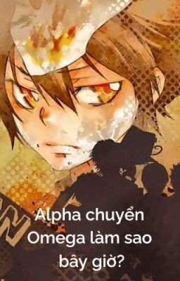 🔞【All27/ABO】Alpha chuyển Omega làm sao bây giờ?