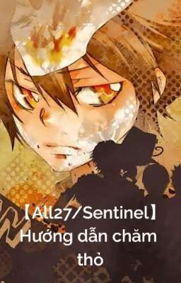 【All27/Sentinel】Hướng dẫn chăm thỏ