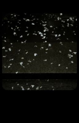 allchovy | nhớ mong jihoon ngày lặng gió