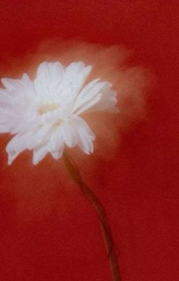 [allDante] Ting Tang