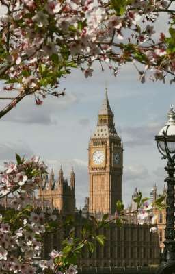 (Alldraco) /r18/ Ánh trăng sáng của London