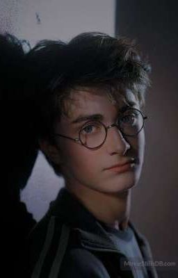 [Allharry] Bọn Con Trai Yêu Tôi?!!