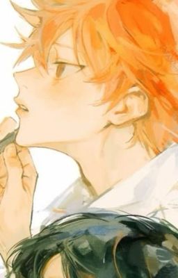 [AllHinata] Bản Tình Ca Màu Nắng