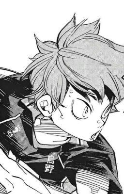 [AllHinata] Cuộc Sống Yên Ổn Của Thợ Săn Bị Phá Vỡ