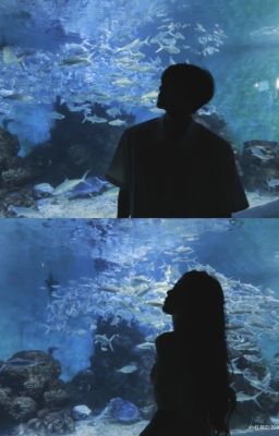 [ Allisagi ] Mơ?