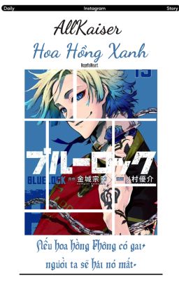 [ Allkaiser ] Hoa hồng xanh