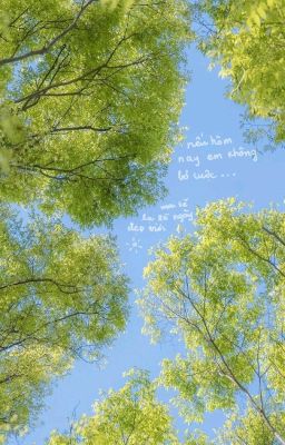 [allker] Có một bé mèo hay ngủ dưới nắng