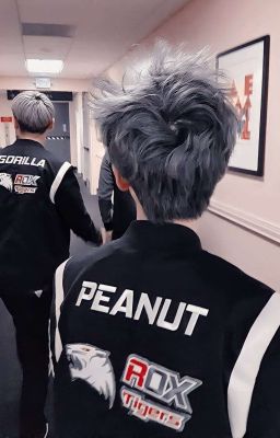 [ Allnut ] Chú Hổ Trắng HWH_Peanut