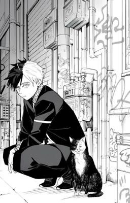 |AllSakura/ABO| Black White Cat.