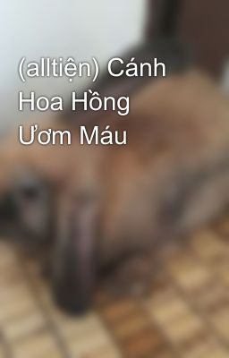 (alltiện) Cánh Hoa Hồng Ươm Máu