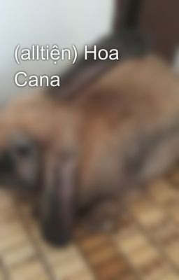 (alltiện) Hoa Cana