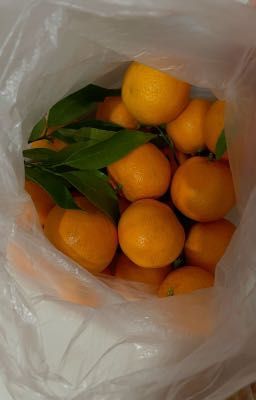 AlmondProgress ᛝ Tangerines