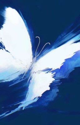 Ám Điệp Dạ Vũ