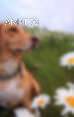 AMPT 73