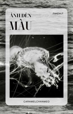 ánh đèn màu | fakenut