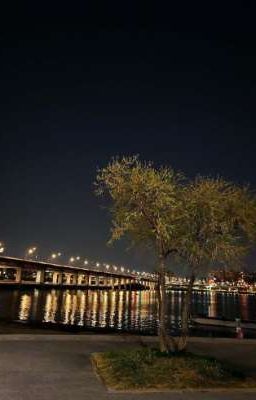 Ánh sáng trong đêm