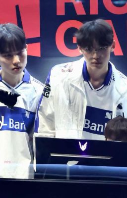 Anh túc và Cúc dại