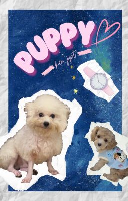 AnhDuy | PUPPY