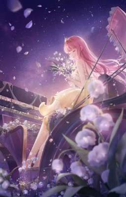 Ảo Ảnh NTK | Shining Nikki