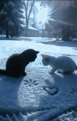 atsh2; hay là thôi