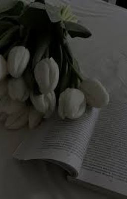 Atsh2 I L'Ombre De L'Amour