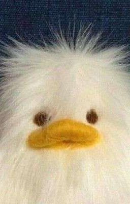 [ATSH2] Trouble From Love