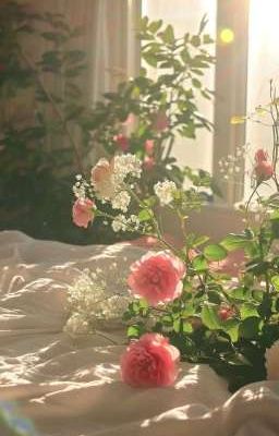 [ATSH2] Tuổi Thanh Xuân