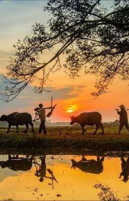 atsh2•𝖐𝖎ế𝖕 𝖈𝖍ồ𝖓𝖌 𝖈𝖍𝖚𝖓𝖌 