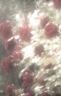 [ATSH2025] Mập Mờ