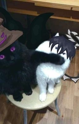 Azuretime[Au Hđ] Nơi Có Em