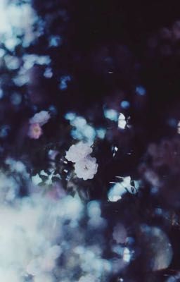 ba bước trên thềm đông | smeft