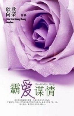 Bá Yêu Mưu Tình- Hân Hân Hướng Vinh (full+edit)
