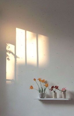 「Bác Chiến」Thầy Tiêu Đừng Tỏ Ra Quyến Rũ Như Vậy Nữa